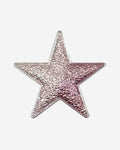 Magnet Brosche Stern Rosegold